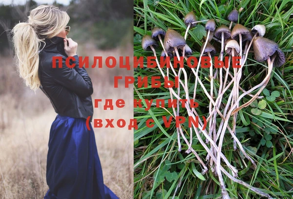 прущая мука Абинск