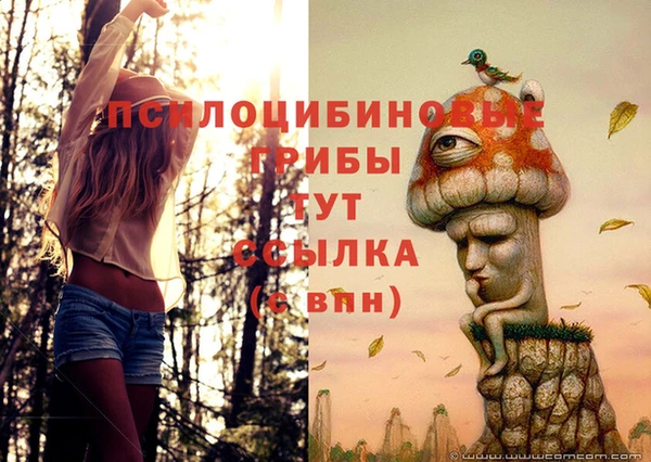 прущая мука Абинск