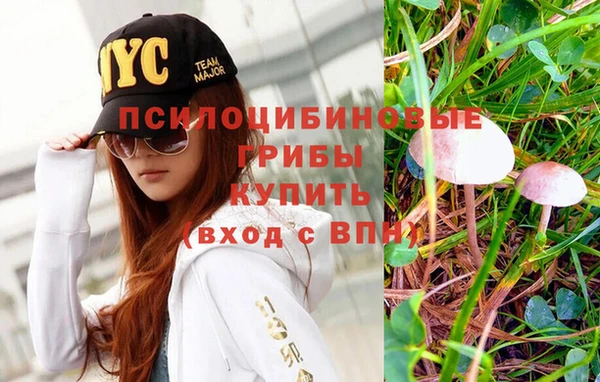 мяу мяу мука Абдулино